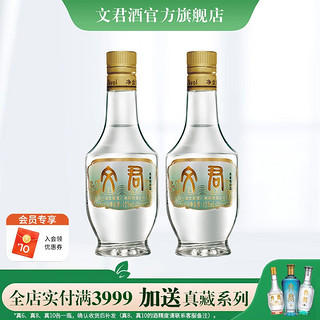 WENJUN 文君 情怀 45%vol 浓香型白酒 125ml*2瓶 双支装