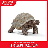 Schleich 思乐 仿真动物模型小动物玩具 动物世界玩具陆龟
