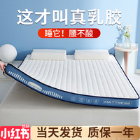 觉先生 MR.SLEEP乳胶床垫软垫家用褥子租房儿童床褥宿舍单人厚榻榻米垫子海绵加厚