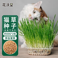 花沃里猫草种子50g*2包小麦草籽 花种子水培盆栽土太阳花卉种子阳台庭院