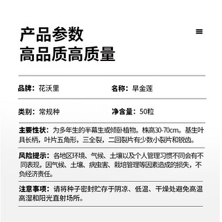 花沃里旱金莲花种子50粒/包 花卉种子盆栽阳台种菜土四季草籽庭院田间种