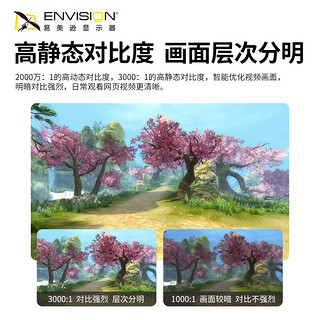 易美逊（ENVISION）21.5英寸电脑显示器 窄边框液晶低蓝光台式家用办公壁挂显示屏幕 R2249