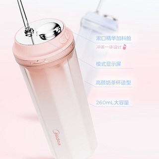 冲牙器 手持立式洗牙器  4档模式3种喷嘴 260ml大水箱