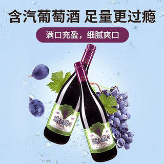 TONHWA 通化葡萄酒 通化 大爽口 山葡萄加汽葡萄酒 7%vol 735ml*2瓶