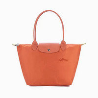 LONGCHAMP 珑骧 女士中号单肩饺子包 2605 919