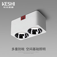 可诗(KESHI)led明装筒灯方形防眩斗胆灯智能米家客厅过道免开孔吸顶天花灯 双头 智能米家2*5W 调光调色