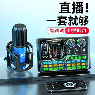 十盏灯 P16pro声卡直播设备全套装电容麦室内套餐带货k歌娱乐聊天专用抖音快手主播调音台 典藏款室内专用蓝色