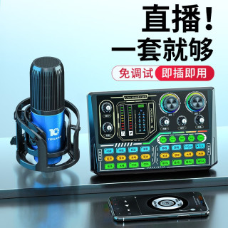 十盏灯 P16pro声卡直播设备全套装电容麦室内套餐带货k歌娱乐聊天专用抖音快手主播调音台 典藏款室内专用蓝色