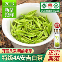 赛八仙2023新茶正宗安吉白茶特级4A明前嫩芽绿茶白茶春茶茶叶礼盒装500g
