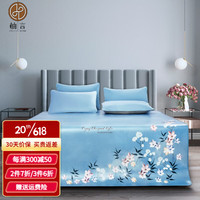 柚言头层牛皮凉席彩绘水牛皮席子空调软席夏季牛皮席三件套 天空之城 150*195cm三件套