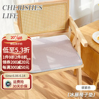 钟爱一生(CHERISHES LIFE)夏季坐垫屁垫椅子垫加厚海绵椅垫汽车座垫办公室久坐透气凉席垫子 冰藤 银紫 40*40cm