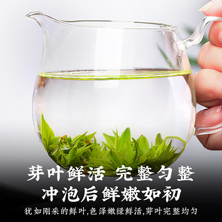 飘香韵 小叶苦丁茶 茶叶2023新茶 正品四川峨眉山嫩芽花草茶200g