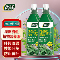 尚洋发财树植物营养液500mL*2园艺绿植盆栽花肥料液体肥有机叶面肥