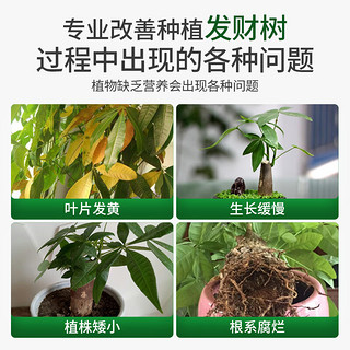 尚洋发财树植物营养液免稀释500mL+生根液50mL园艺绿植盆栽液体花肥料