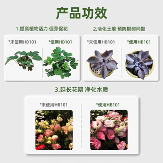 HB-101日本进口植物活力素 营养液 解决黄叶掉叶卷叶不长叶 HB101+绿多多