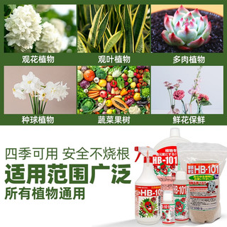 HB-101日本进口植物活力素 营养液 解决黄叶掉叶卷叶不长叶 HB101+绿多多