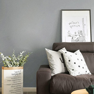 晴画 自粘墙纸客厅卧室纯色墙贴遮瑕改色翻新贴 马卡龙浅灰0.45