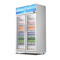 星星（XINGX）568升双门立式展示柜 保鲜冷藏柜玻璃展示柜大容量 便利店超市柜 数字温显 LGC-1000FYE