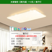 雷士 NVC 现代简约吸顶灯北欧吸顶灯温馨浪漫客厅灯大气客厅吸顶灯