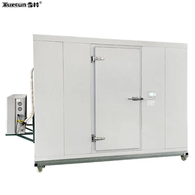  Xuecun/雪村 小型移动 移动冷冻冷库  26400L