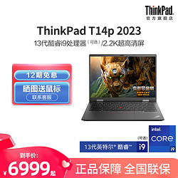 ThinkPad 思考本 联想笔记本电脑T14p 13代英特尔酷睿标压i5/i7/i9 16G 512G 轻薄商务本ThinkPad官方旗舰店