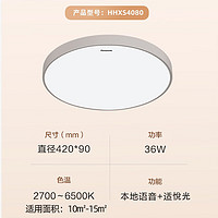 Panasonic 松下 全光谱本地智能语音护眼简约卧室灯 36瓦 适合老人、儿童