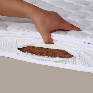 眠度乳胶椰棕床垫1.8x2米可折叠榻榻米床垫1.5x2米加厚硬棕垫可拆洗 3分棕+2分乳胶(7cm) 0.9x1.9米