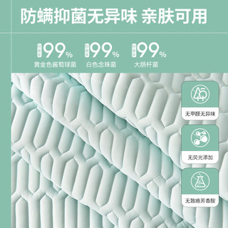  黛圣婕 可水洗 凉席三件套