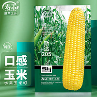 寿禾 水果玉米种子口感型脆甜可生吃蔬菜种籽 潍育斯达205玉米种子50g