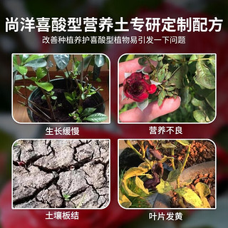 尚洋喜酸植物专用营养土山茶花杜鹃花栀子茉莉花盆栽酸性土壤种植 喜酸植物专用营养土32L