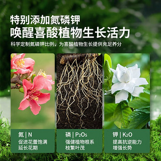 尚洋喜酸植物专用营养土山茶花杜鹃花栀子茉莉花盆栽酸性土壤种植 喜酸植物专用营养土32L