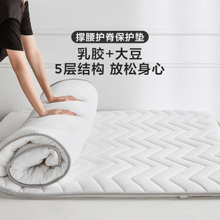 LINSY 林氏家居 乳胶床垫家用榻榻米软垫子学生宿舍折叠床褥垫家具G1CSC008 G1CSC008知晓乳胶纤维垫 900