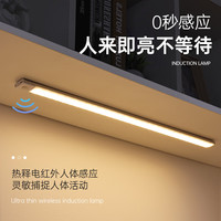 索亚达(suoyada)智能人体感应led灯 长条磁吸自粘衣柜灯带充电式酒柜橱柜灯条 银色(三色变光) 10CM