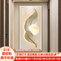 唤墙玄关装饰画带灯led灯画现代简约羽毛走廊过道挂画抽象艺术壁画 月羽生辉 70*140cm(LED灯画/遥控充电宝款)