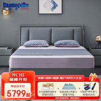邓禄普(Dunlopillo)新品真皮床北欧现代双人主卧大床进口头层牛皮9552款可定制颜色 9552单床 200*150cm