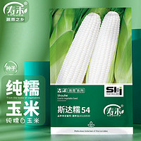 shouhe 糯玉米种子香粘大棒春季播种黏菜籽 潍育斯达糯54白玉米种子100g