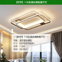 雷士 NVC 现代简约吸顶灯北欧吸顶灯温馨浪漫客厅灯大气客厅吸顶灯客厅灯