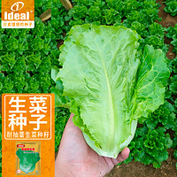 Ideal 理想农业 生菜种子四季耐抽薹蔬菜种籽家庭种植速生菜籽5g*1袋
