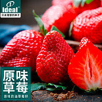 IDEAL理想农业 草莓种子水果种子四季蔬菜种子原味奶油草莓种子 原味奶油草莓500粒×1包