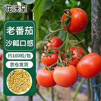 花沃里粉红大番茄沙瓤西红柿种子100粒 蔬菜种子四季阳台种植盆栽土庭院