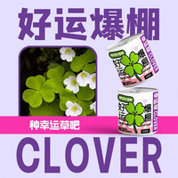 朵咔园艺办公室绿植小盆栽神奇植物室内迷你桌面儿童种植罐头情绪稳定盲盒 好运爆棚-幸运草罐