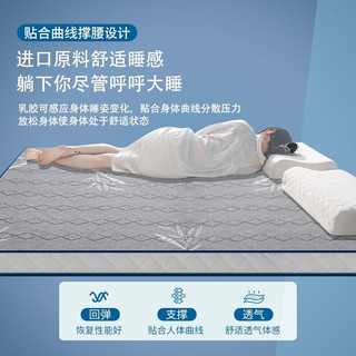  MANKEDUN/曼克顿 抗菌 乳胶床垫  针织立体款-【竹子灰】厚约10cm 5-10cm（含） 软硬适中 90*190cm