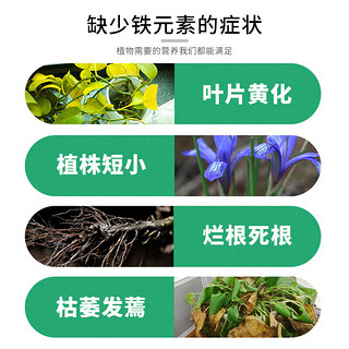 德沃多肥料 硫酸亚铁100g铁肥养花肥料水溶肥园艺盆栽绿植喜酸植物通用化肥