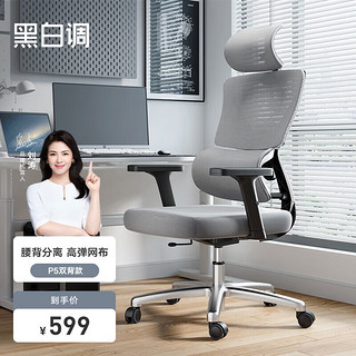 黑白调（Hbada）双背款 人体工学椅电脑椅子办公椅可躺学习椅家用电竞椅 灰色