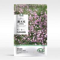 寿禾shouhe花种子大全室内室外四季组合混种 复瓣粉满天星种子1000粒