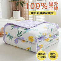 涵语全棉空调被纯棉夏凉被棉花夏被薄被子可水洗夏季空调被芯 美轮美奂-米QYan 150x200cm单夏被(约2.3斤)