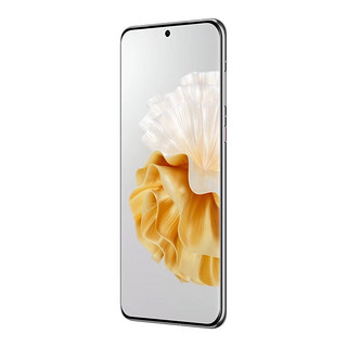 华为/HUAWEI P60 超聚光XMAGE影像 双向北斗卫星消息 512GB 洛可可白 鸿蒙曲面屏 智能旗舰手机 合约专享版