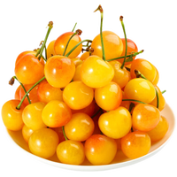 香二嫂黄樱桃 山东黄水晶露天樱桃新鲜水果樱桃黄晶车厘子现摘 500克克