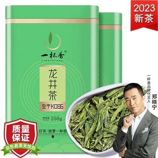 一杯香 2024新茶明前龙井茶茶叶口粮茶春茶绿茶2盒共500g实惠罐装自己喝