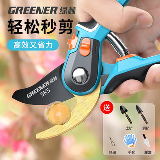 绿林（GREENER）园艺剪刀修枝剪树枝专用剪刀修枝剪果树修枝花剪树枝园林花卉绿林 旗舰款青钢刃